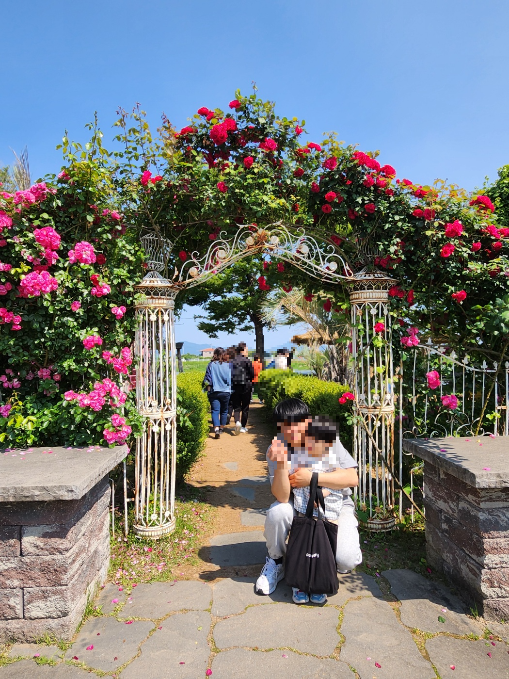 강서구-비아조-장미