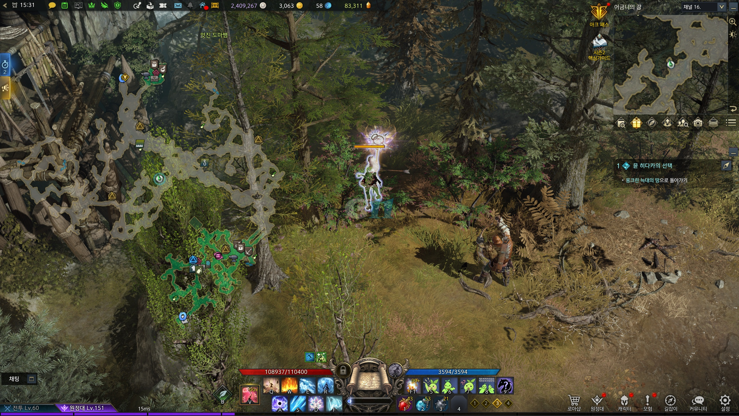 어금니의강 모코코