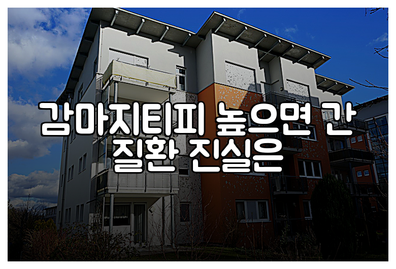 감마지티피 높으면 간 질환 진실은