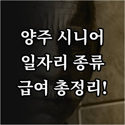 양주시 시니어클럽 일자리 종류별 활동..