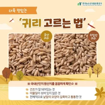 귀리 효능과 부작용 귀리 오트밀 차이점 안내_3