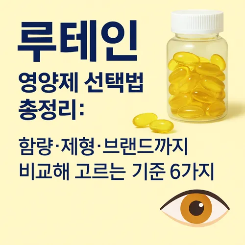 루테인 영양제 선택 가이드