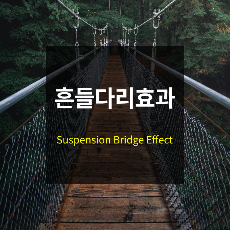 흔들다리 효과