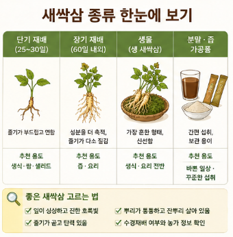 새싹삼-효능-먹는방법-요리-종류-아기-임산부