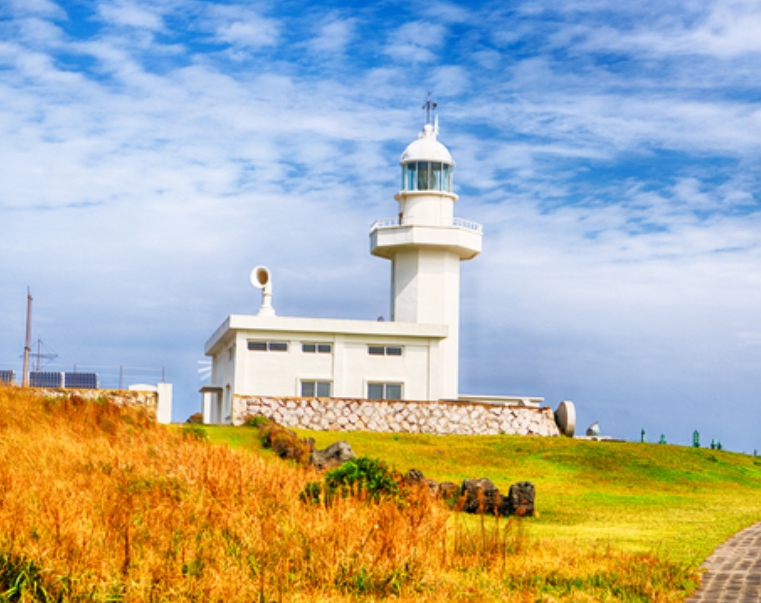 가을여행/11월/제주/감성/여행지