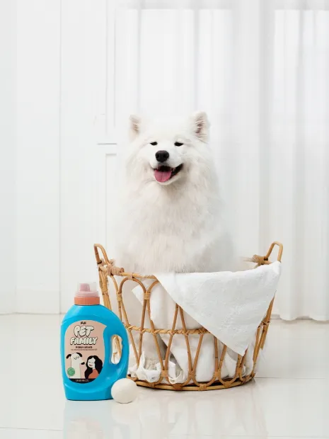  LG생활건강 &amp;#39;피지 펫-패밀리 &middot; 세탁 세제 &amp; 세탁조 클리너&amp;#39; 출시! [가격 용량 특징 반려견 강아지 빨래 냄새 제거 털]