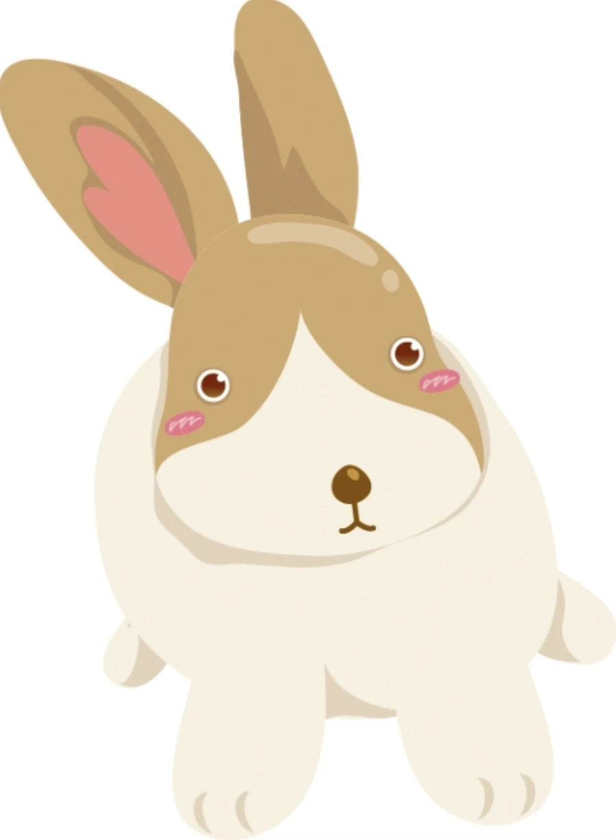 내일의 운세, 띠별 운세