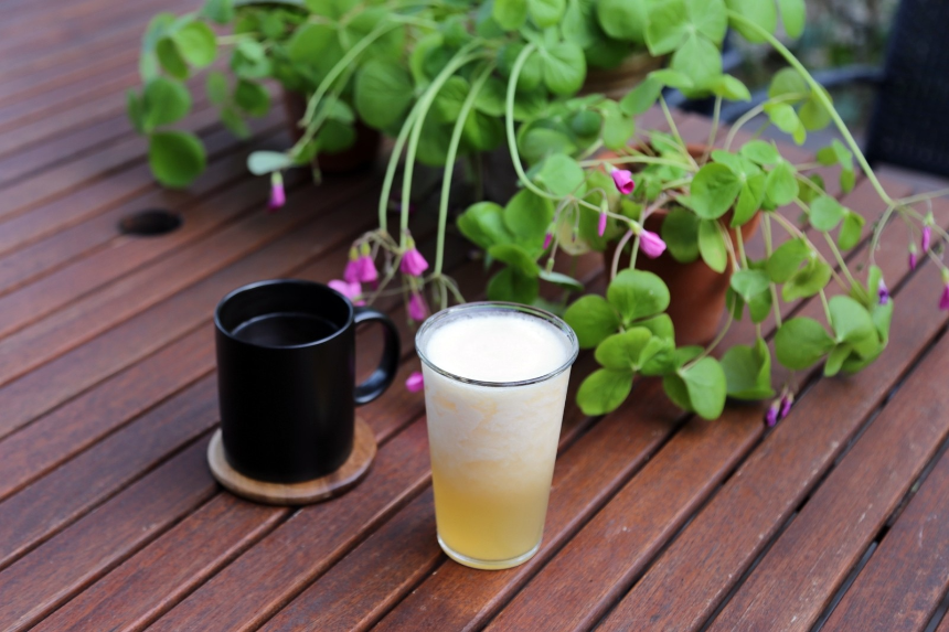 특색있고 아름다운 민간 정원 30선 추천 여행 - 11. 경주 야생화일기 정원