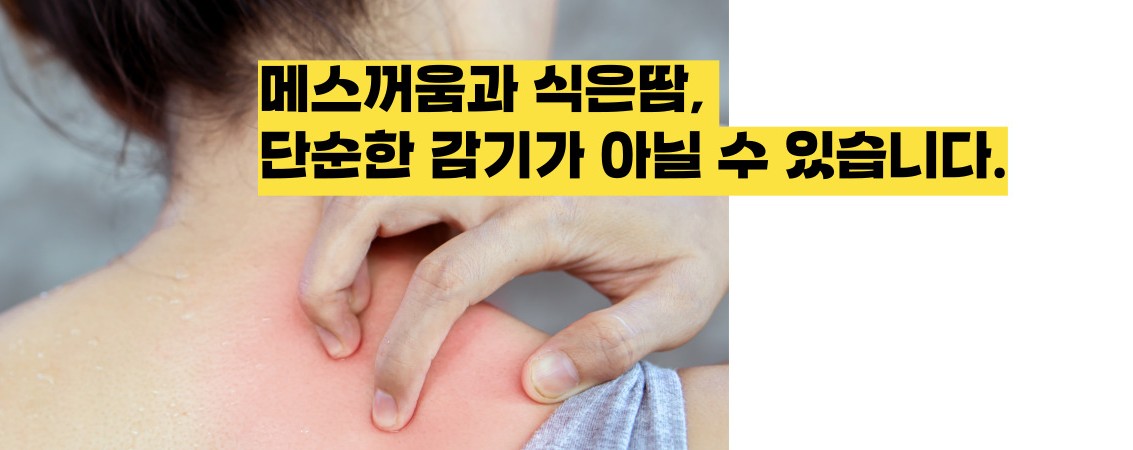 담낭염 증상