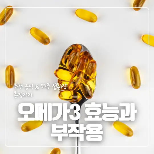 오메가3 효능과 부작용