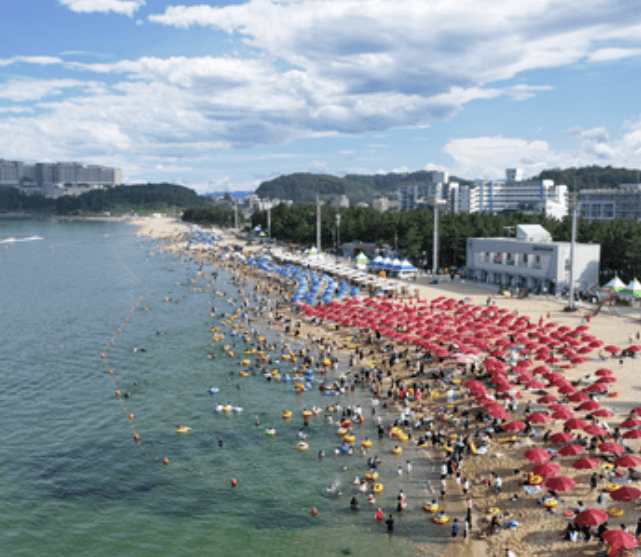 해수욕장 개장일정