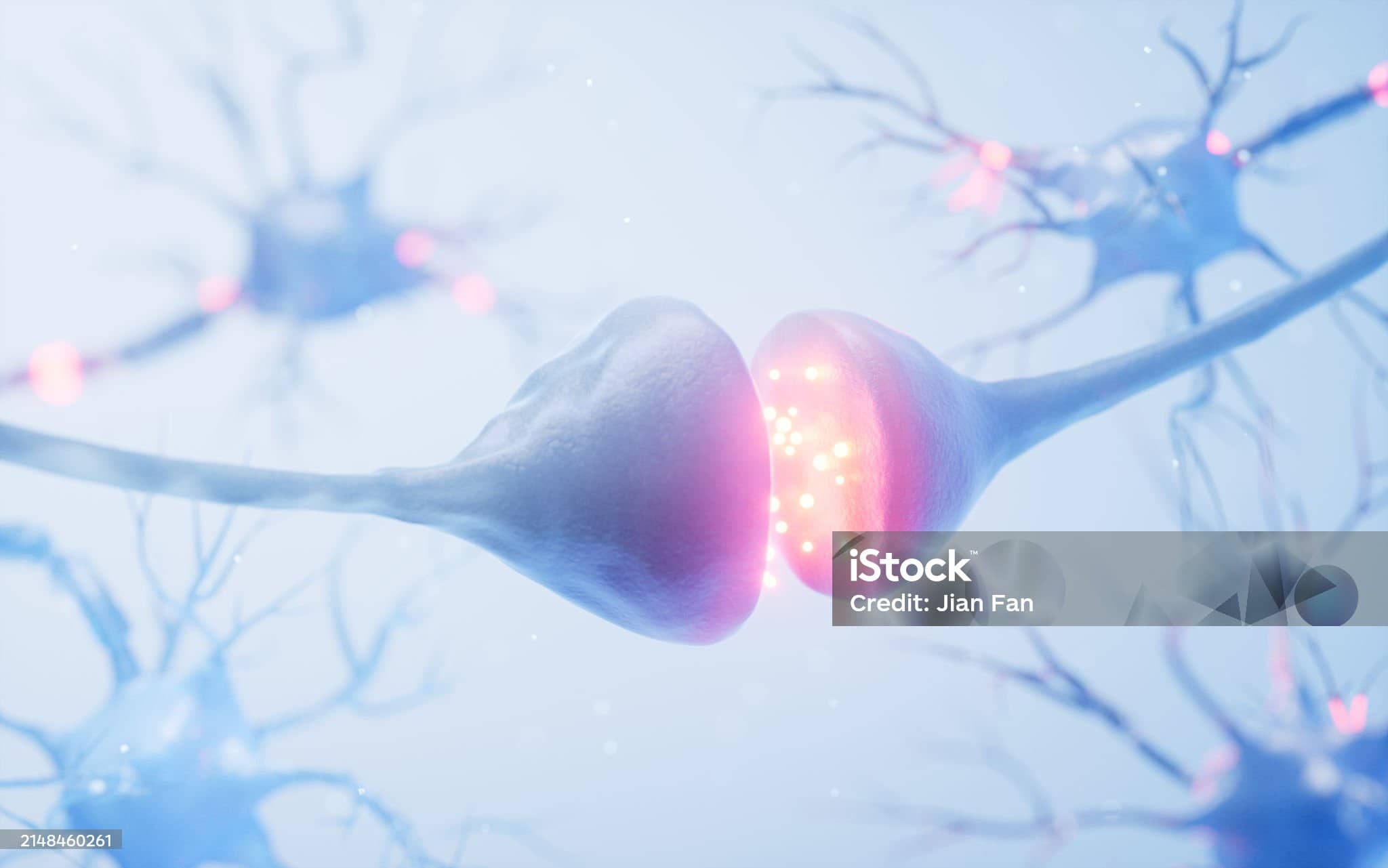 뇌파와 감정 조절에서 알파파, 베타파, 델타파의 역할과 도파민 시스템과 행복감의 연계성