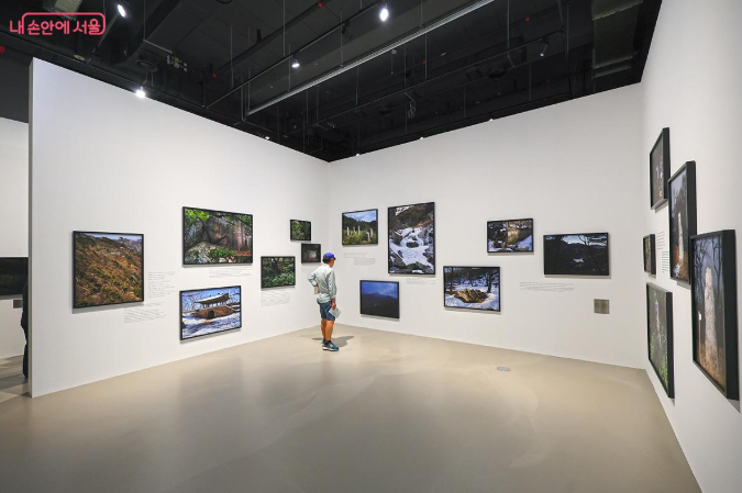 미술관 작품 전시