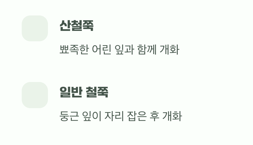 꽃이 필 때 잎이 함께 나올까?
