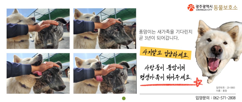 광주광역시 동물보호소