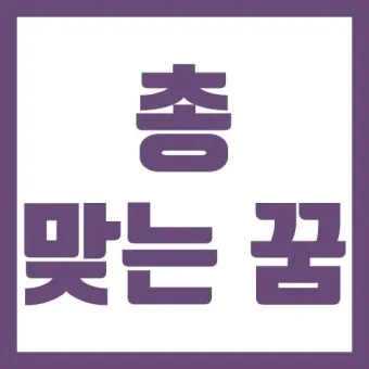 총맞는걸 본 꿈 다른 사람이 총에 맞아 죽는 꿈 사람들이 총맞아 죽는 꿈 해몽 풀이집_15