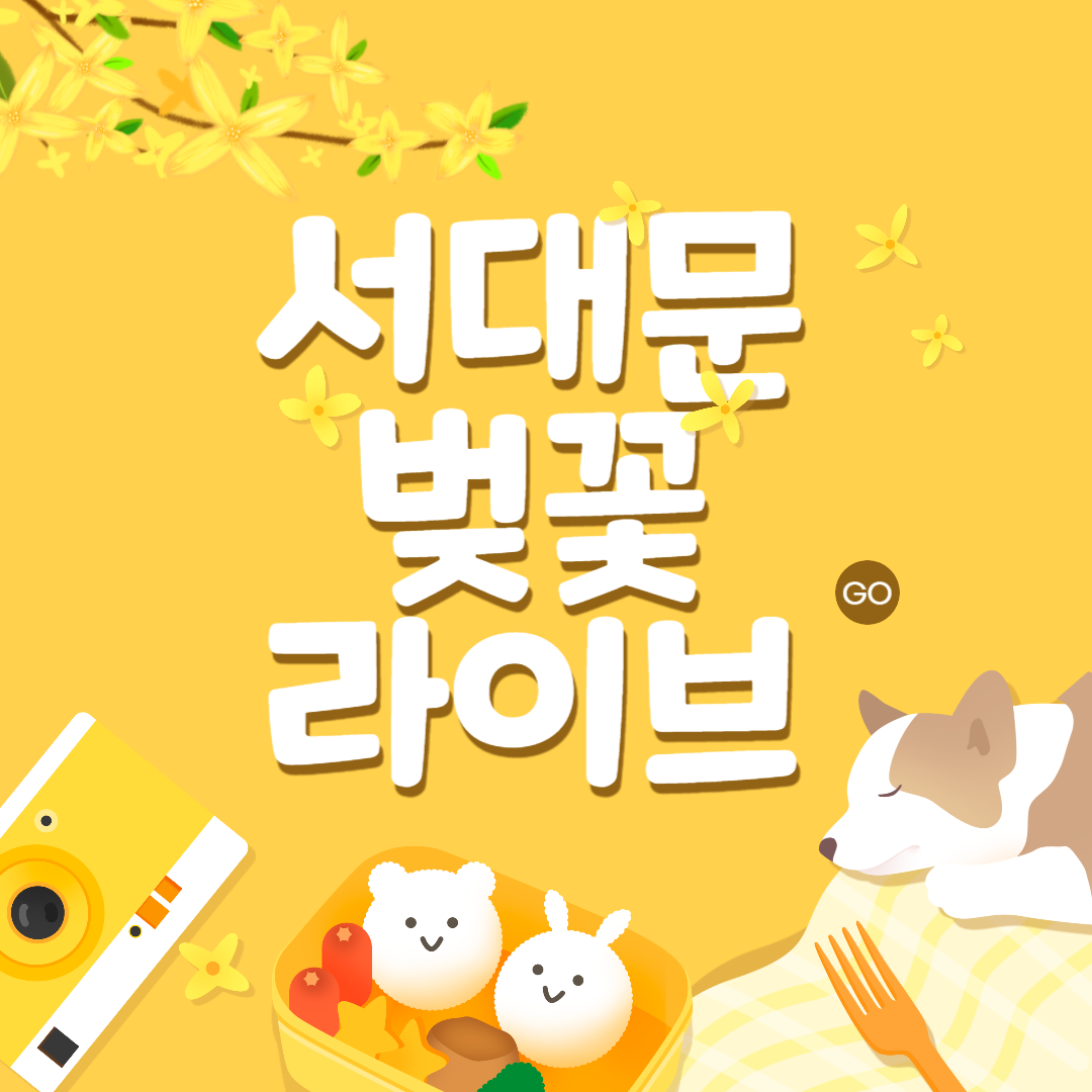 서대문벚꽃라이브 소개