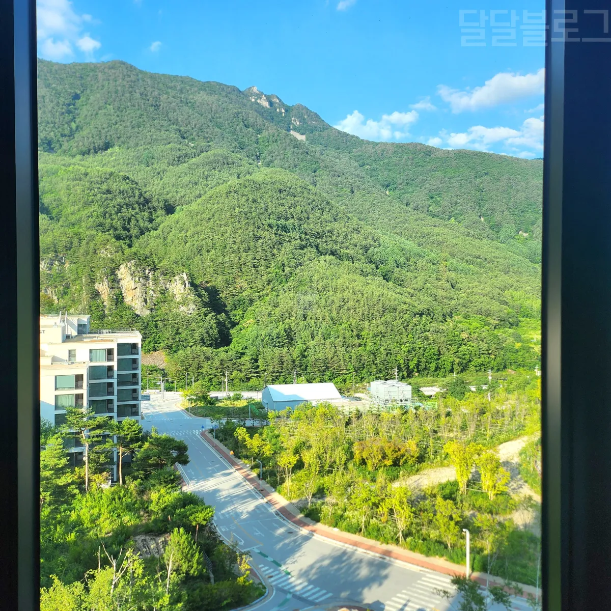 정선-파크로쉬-뷰