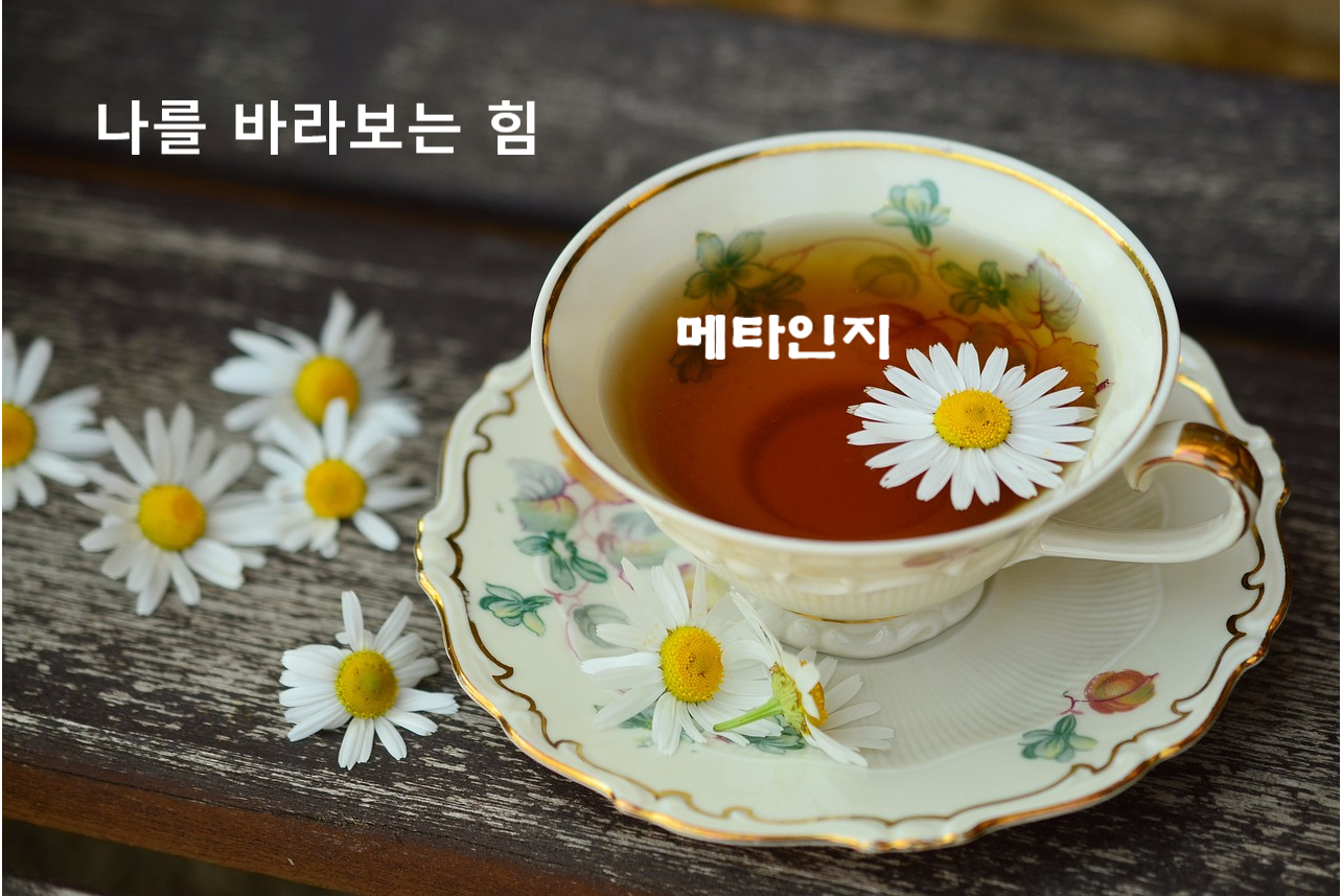 메타인지, 나를 바라보는 힘 관련 이미지