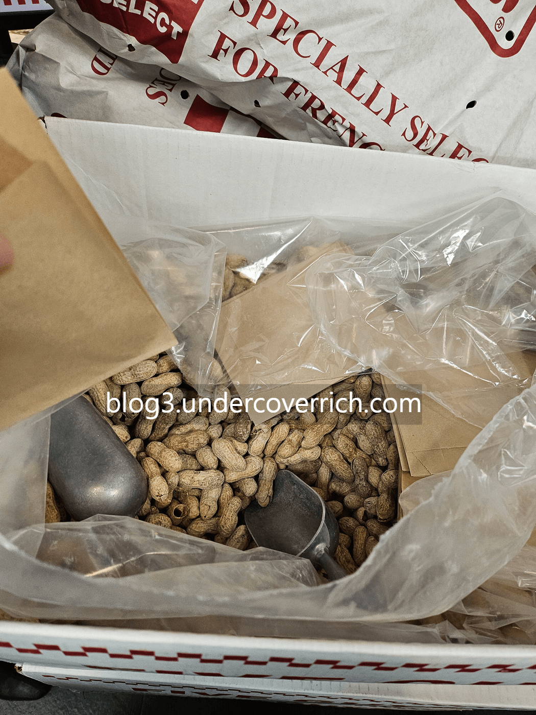 파이브가이즈 five guys