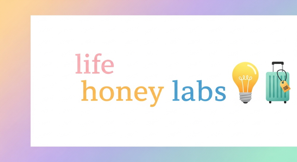 보조배터리 기내반입