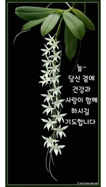 2025년 4월 달력 바탕화면 이미지 모음_22