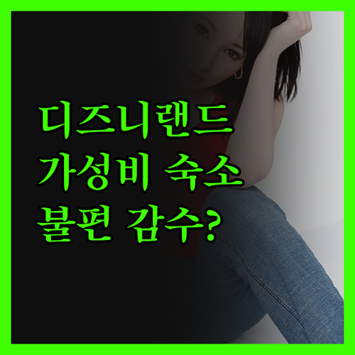 디즈니랜드 완벽 접근! 가성비 끝판왕