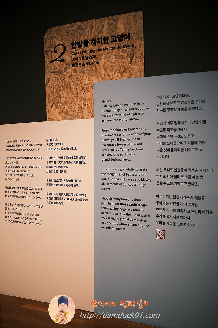 안방을 차지한 고양이