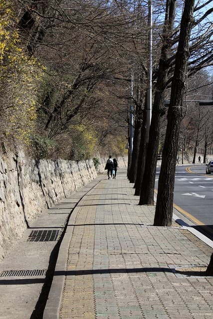 하루 만보 걷기와 스마트폰 미사용 병행 실험기