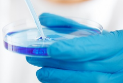 신라젠 주가 전망 | 신라젠(SJ-607) 국내 특허 등록! 주가 상승 기대?