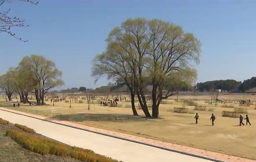 소양강 파크골프장 예약