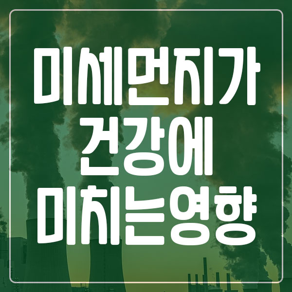 미세먼지가 건강에 미치는 영향