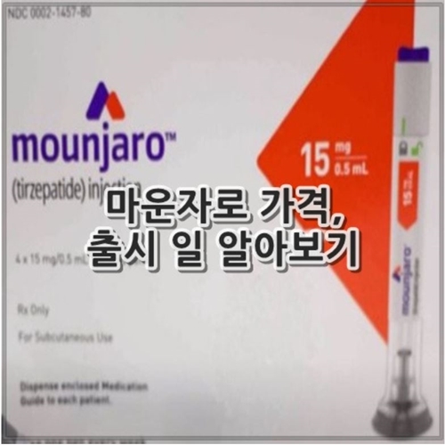 마운자로 가격, 후기