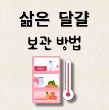 삶은 달걀 보관 방법