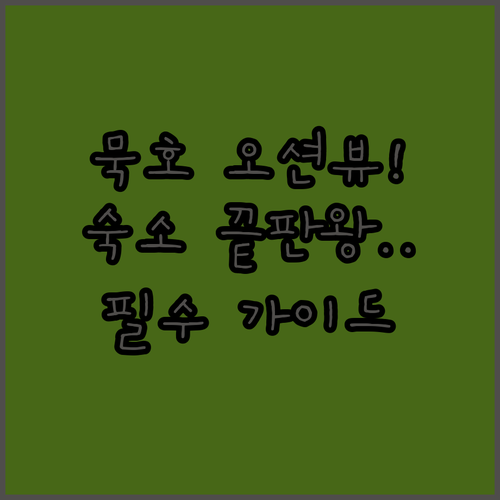 동해 여행 묵호역 근처 오션뷰 호텔 ..