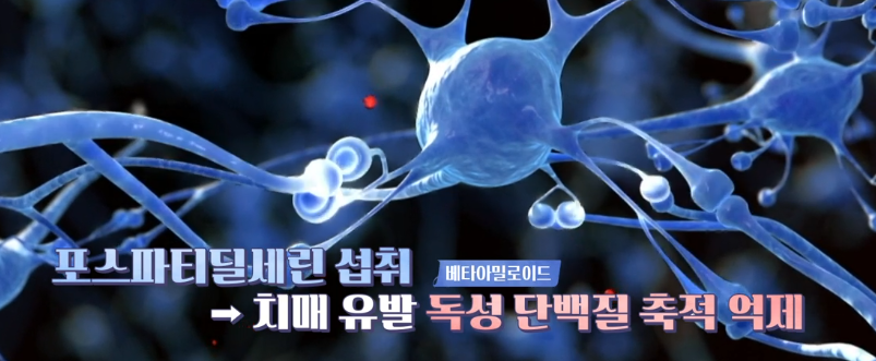 포스파티딜세린 효능