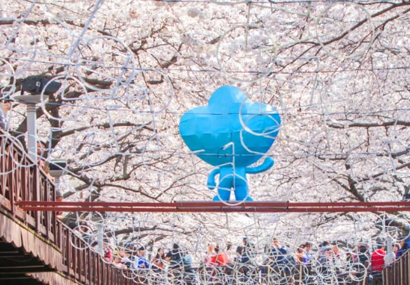 진해-군항제-축제