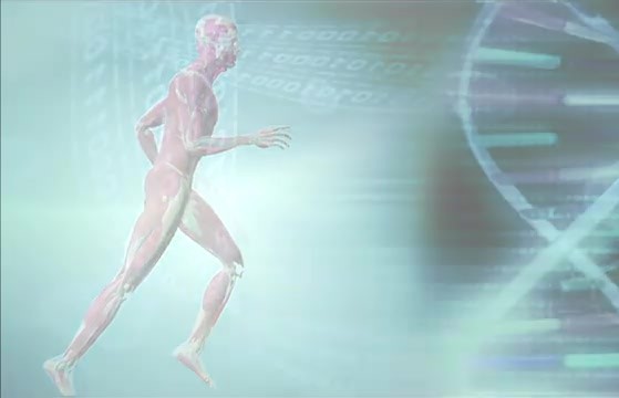 달리는 인체 모습