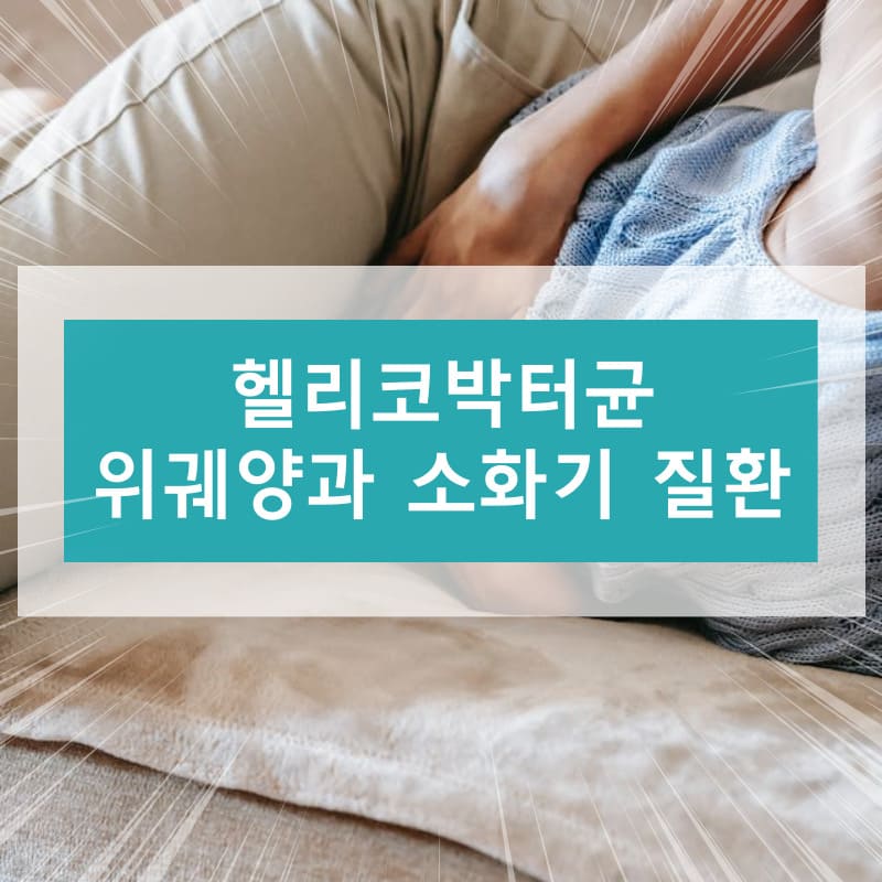 헬리코박터균에 대하여