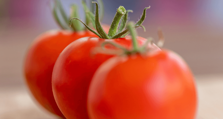 더위에 좋은 음식 - 6