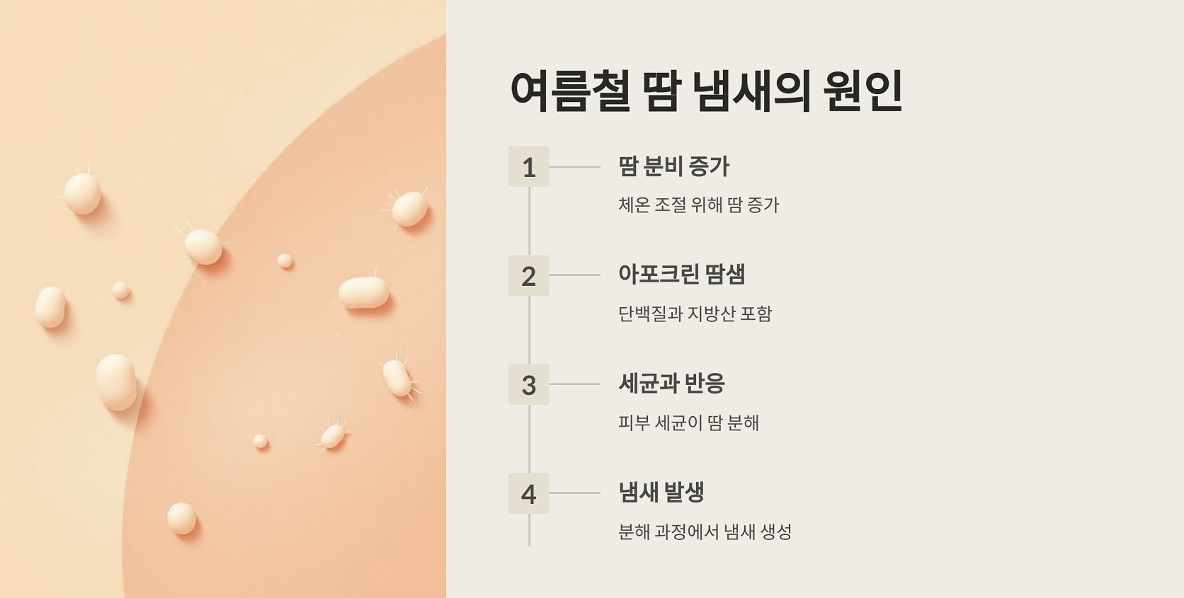 여름철 땀 냄새의 원인