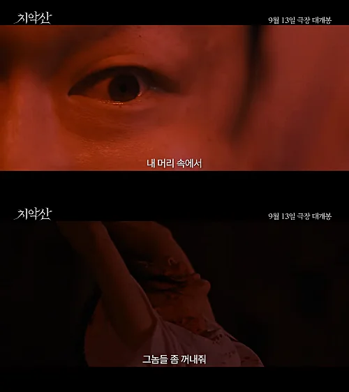 영화-치악산-배그린-이태환-캡처