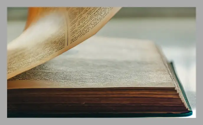 한강 채식주의자