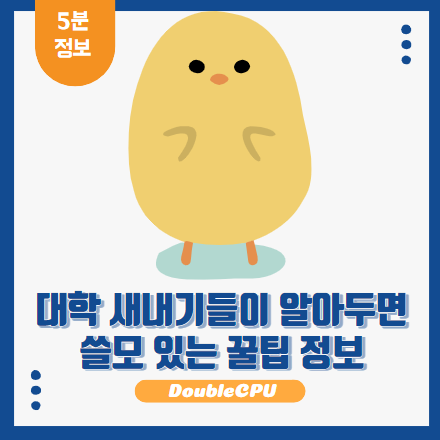 대학 새내기 생활 꿀팁
