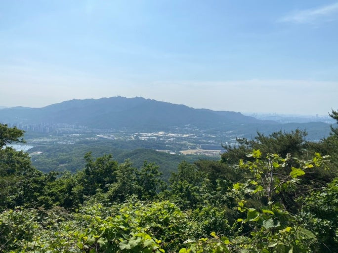 청계산 옥녀봉 사진