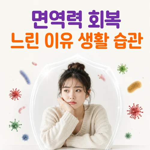 면역력 회복 느린 이유 생활 습관
