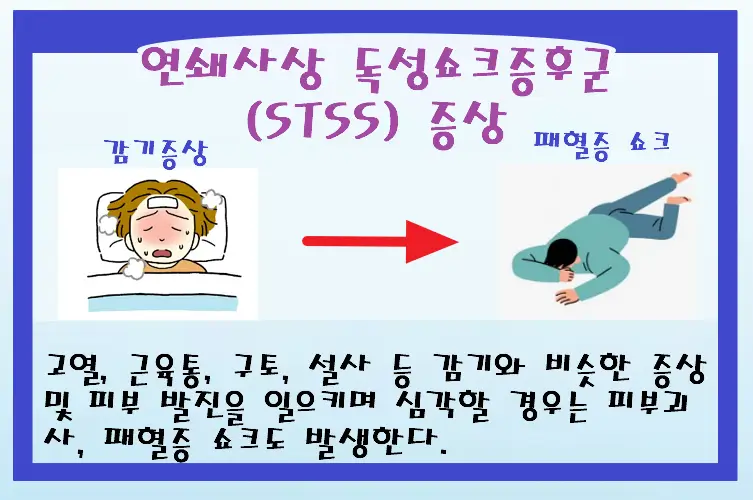 STSS 증상