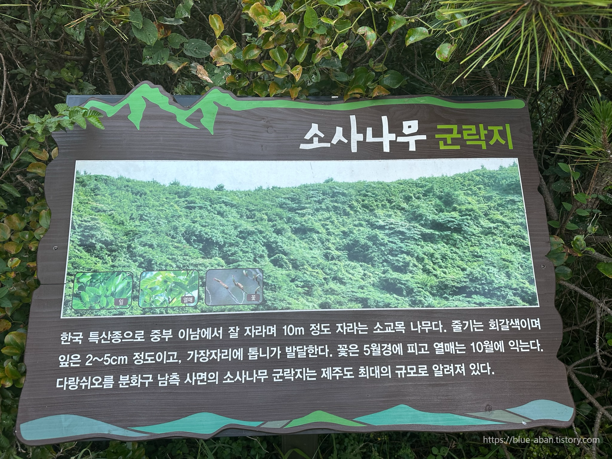 다랑쉬-오름-설명