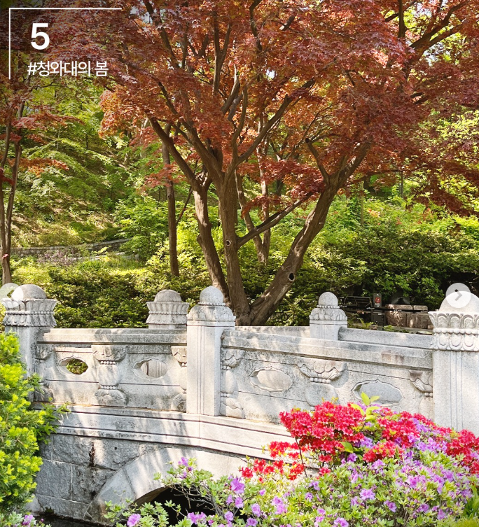 청와대 관람 신청