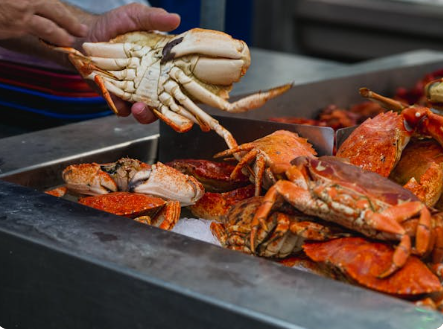 꽃게 찌는 시간 방법